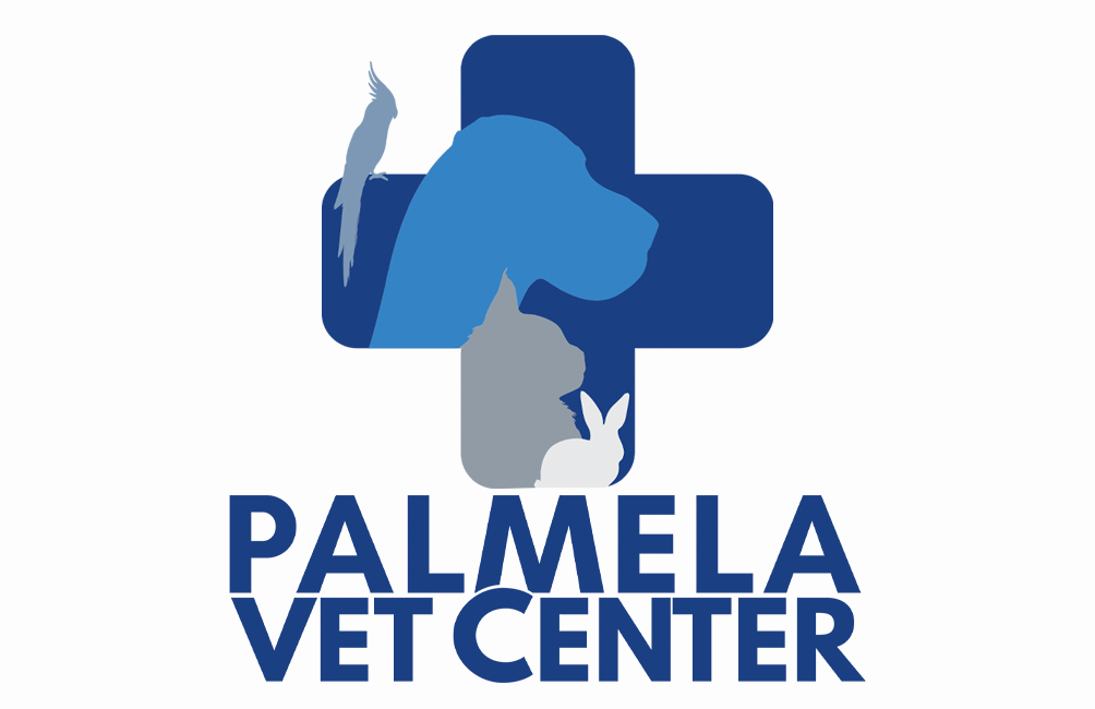 Palmela Vet Center já faz parte da Rede!