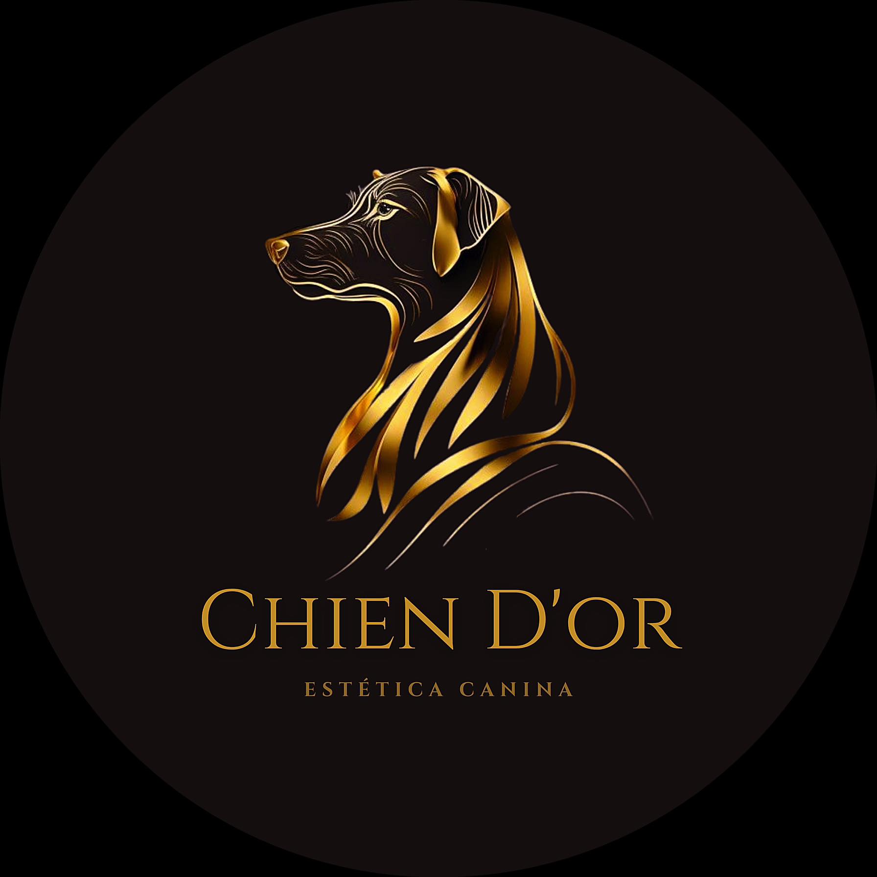 Chien D'Or já faz parte da Rede